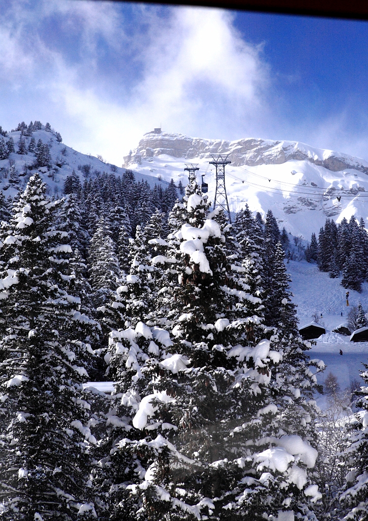 EOS 5D Mark II09_02_20133585.JPG